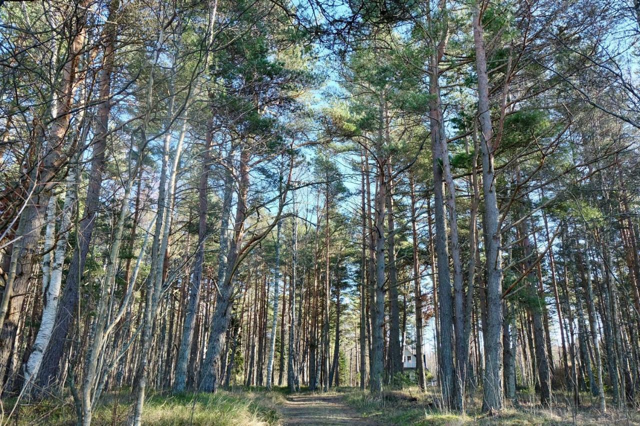 Tahkuna Puhkekeskus Hiiumaa Exterior photo