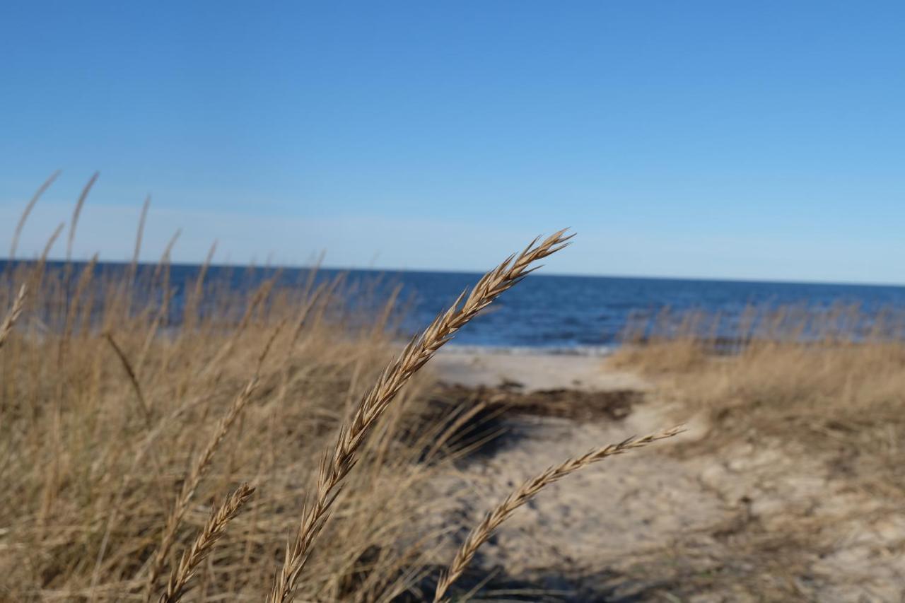 Tahkuna Puhkekeskus Hiiumaa Exterior photo